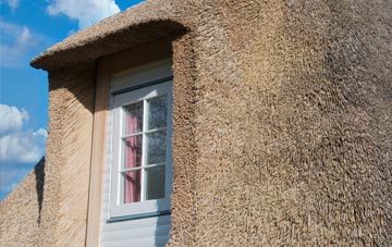 Readings thatch roof disadvantages